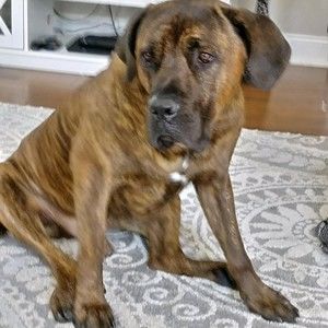 Meet your Posher, Posh